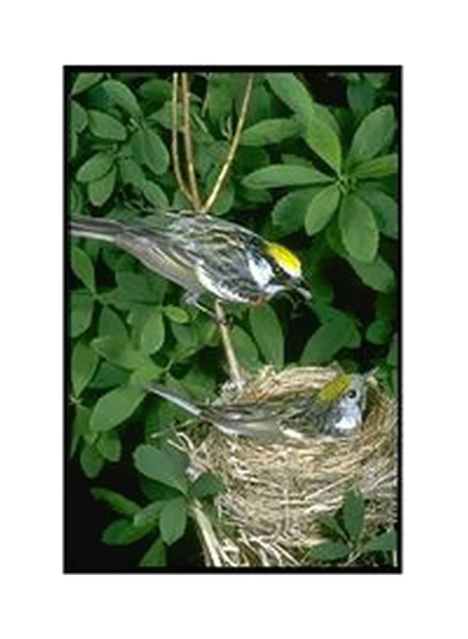 Decorative Wall Poster Green/Beige/Black 60x40cm