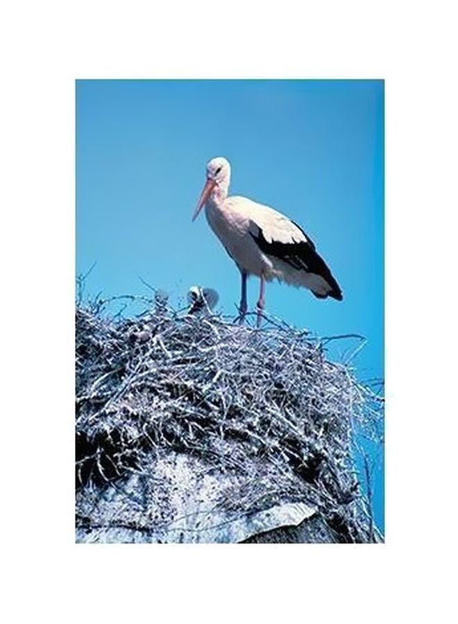 Decorative Wall Poster Multicolour 45x31cm