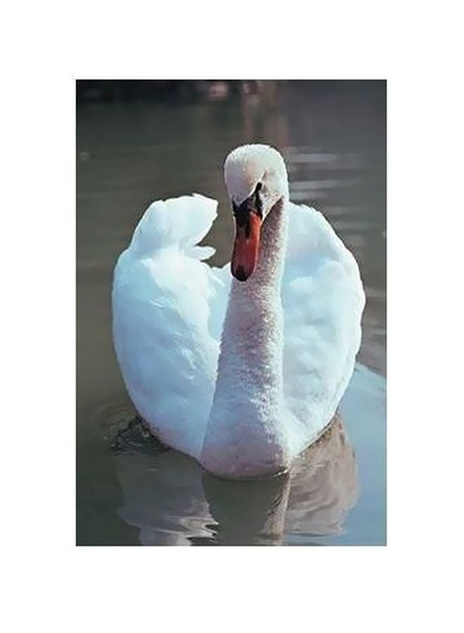 بوستر حائط للتزيين رمادي/ أحمر/ أبيض 34x24سم