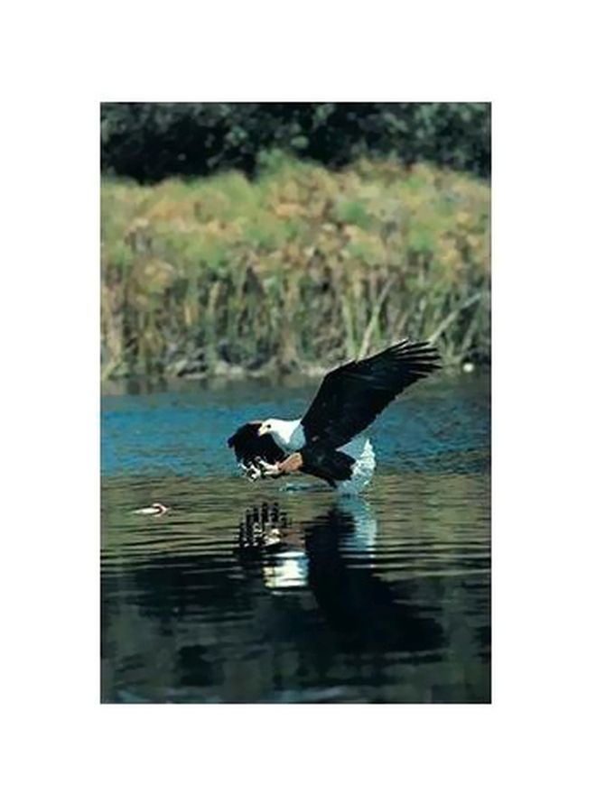 فوتو بلوك بوستر حائط للتزيين أزرق/أسود/أخضر 34x24سم