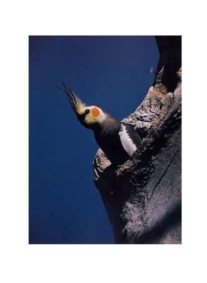 فوتو بلوك بوستر حائط للتزيين أزرق/ رمادي/ أصفر 34x24سم