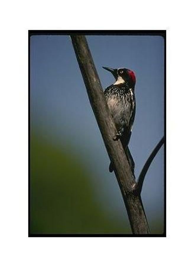 Decorative Wall Poster Blue/Green/Grey 34 x24cm