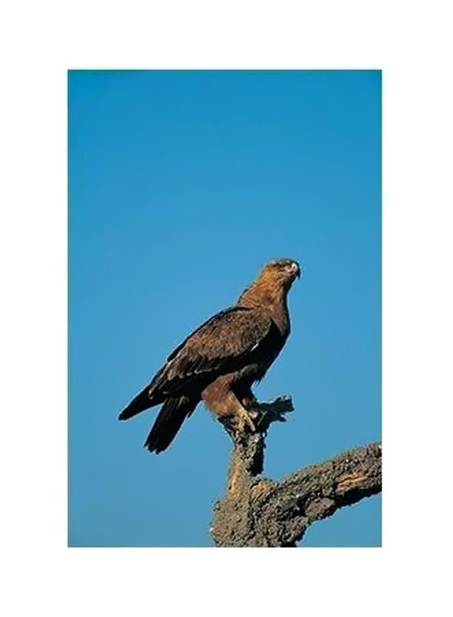 بوستر جداري مطبوع للتزيين أزرق/بني 34x24سم