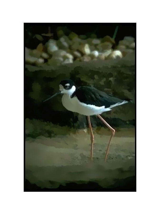 بوستر جداري مطبوع للتزيين أسود/ أبيض/ بني 34x24سم