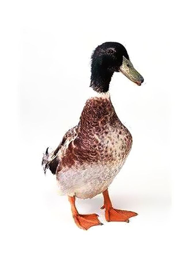 PHOTOBLOCK Decorative Printed Wall Poster Black/Brown/White 34x24cm