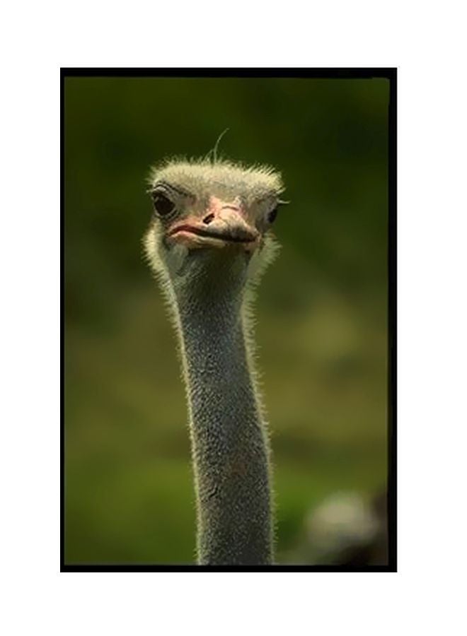 بوستر جداري مطبوع للتزيين أخضر 34x24سم