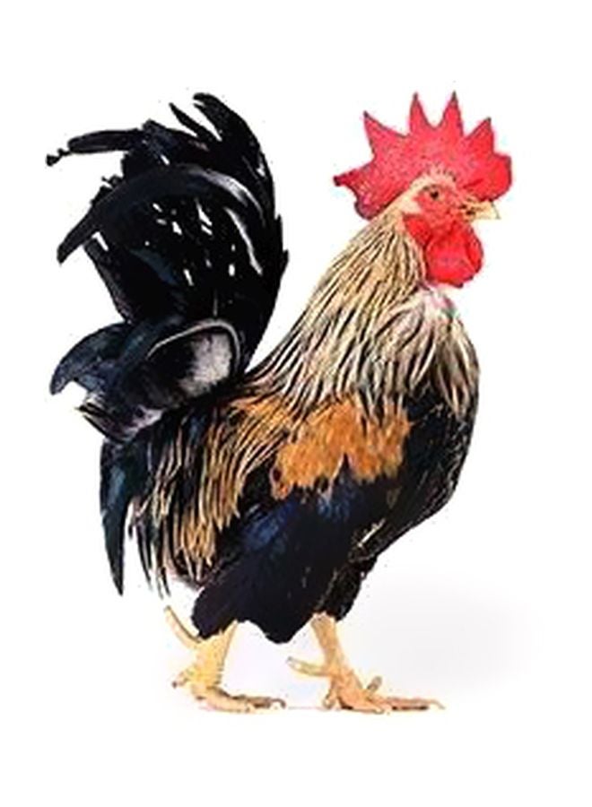 بوستر جداري مطبوع للتزيين أزرق/أحمر/أبيض 34x24سم