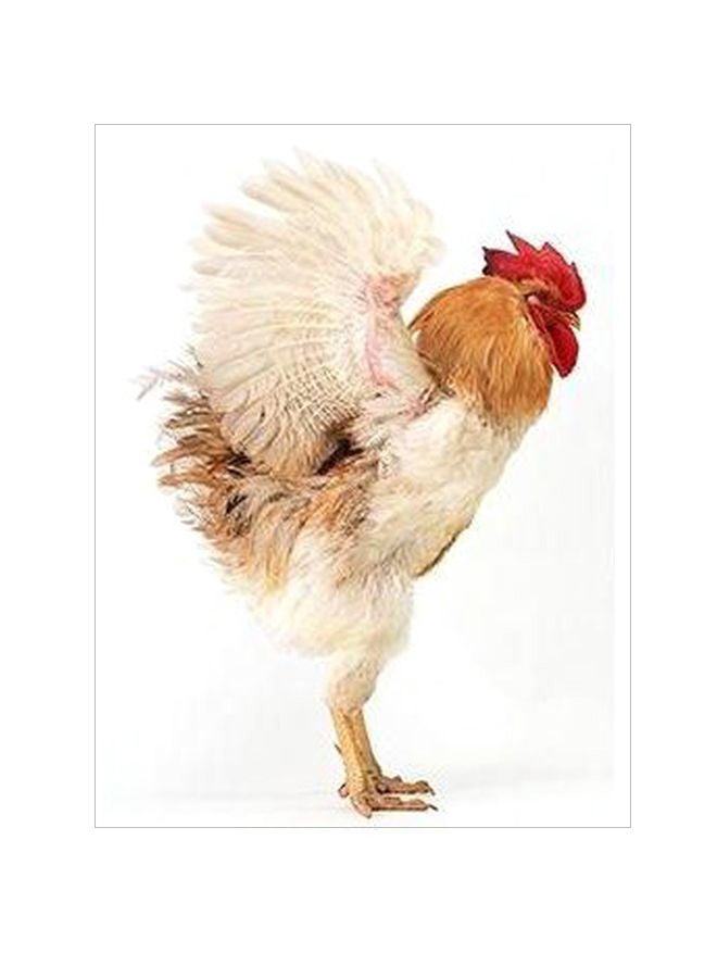 Hen Printed Decorative Wall Poster White/Orange/Red 34x24cm