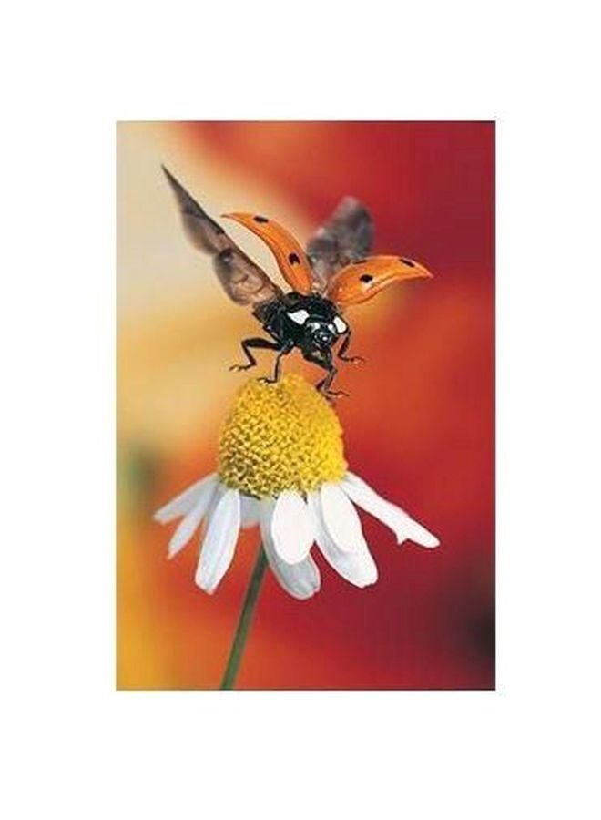 Bee On A Flower Printed Decorative Wall Poster Red/Yellow/Black 34x24cm