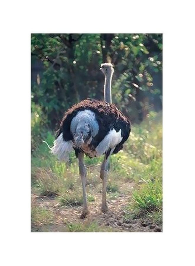 بوستر حائط للتزيين أخضر/أبيض/رمادي 34x24سم