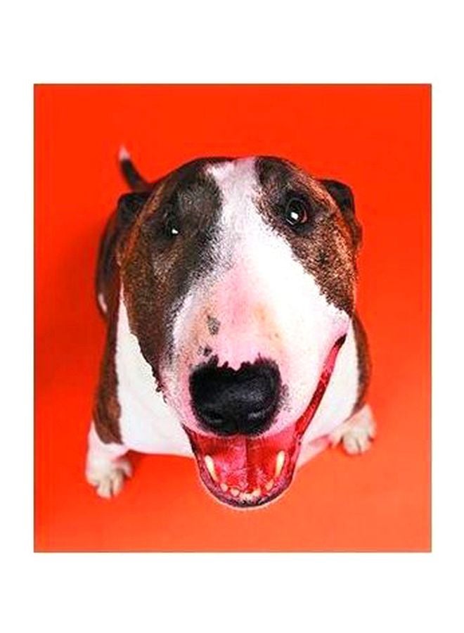 PHOTOBLOCK Decorative Wall Poster Red/Brown/White 34x24cm