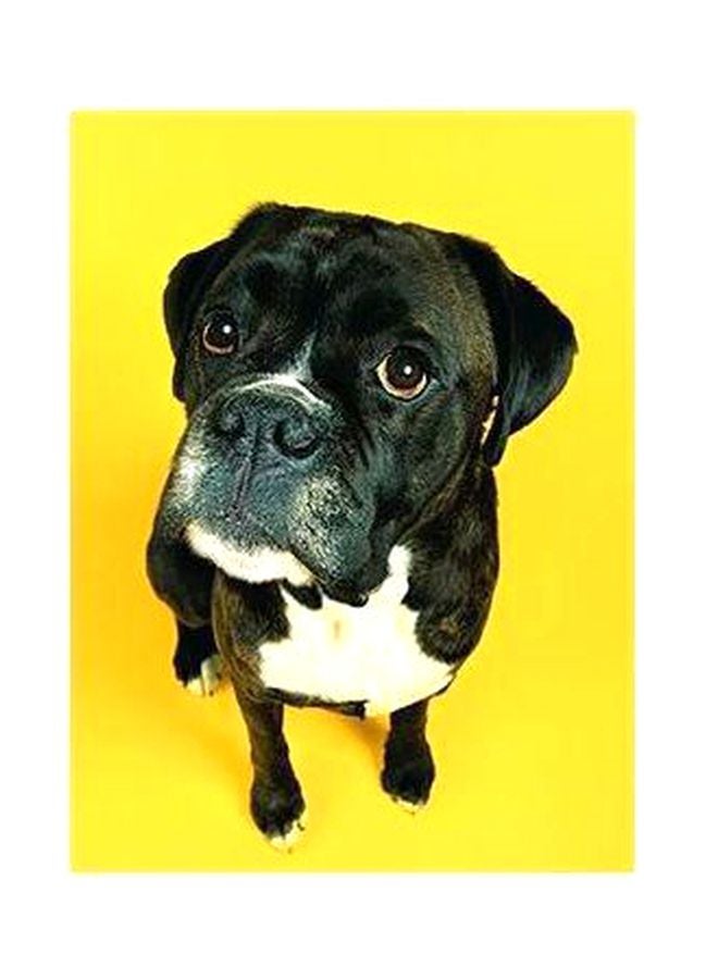 بوستر حائط للتزيين متعدد الألوان 34x24سم