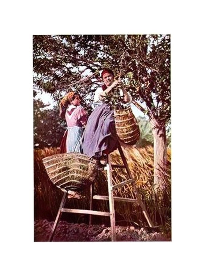 بوستر حائط للتزيين متعدد الألوان 34x24سم