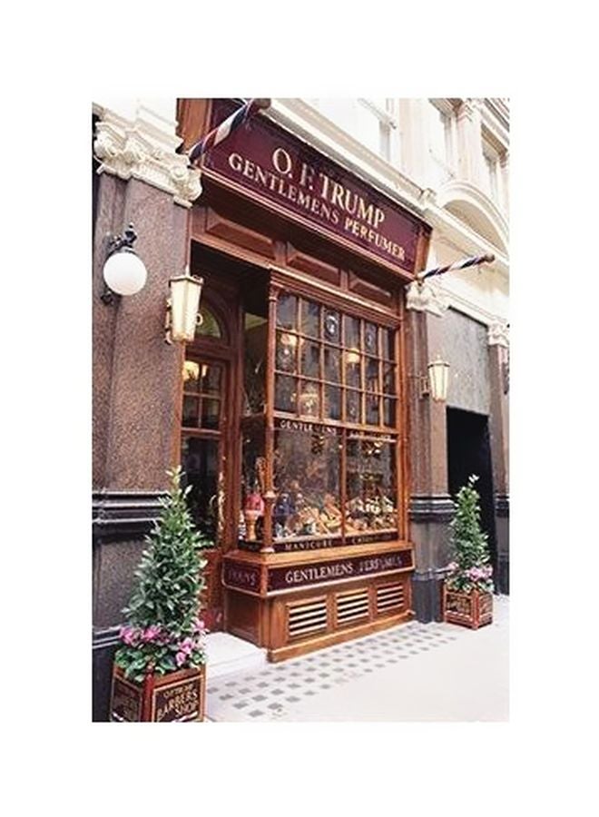 فوتو بلوك بوستر حائط للتزيين بني/أبيض/أخضر 60x40سم