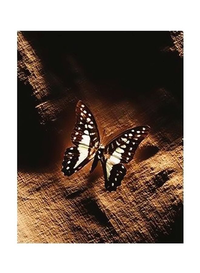 بوستر حائط للتزيين متعدد الألوان 34x24سم