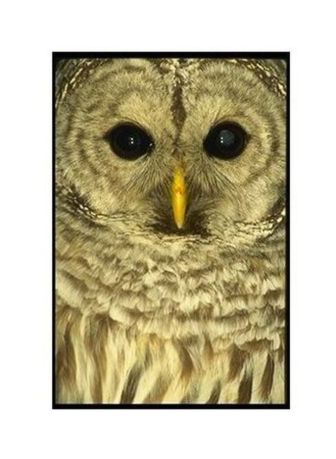 بوستر حائط للتزيين متعدد الألوان 34x24سم