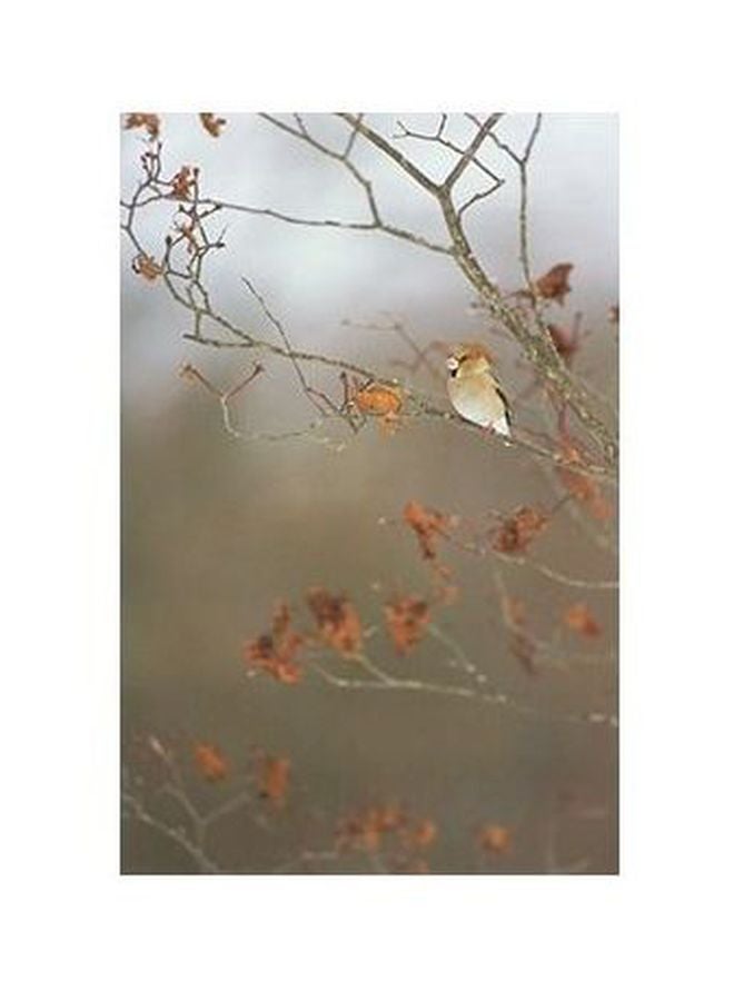 Decorative Wall Poster Multicolour 34x24cm