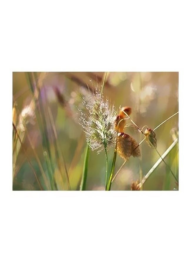 بوستر حائط للتزيين متعدد الألوان 24x18سم