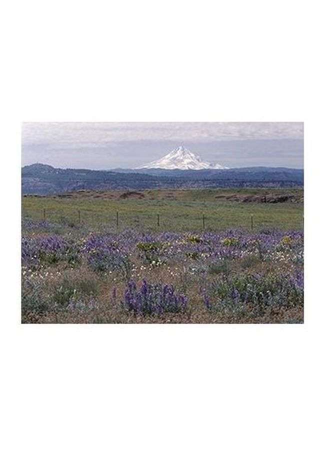 بوستر حائط للتزيين أخضر/ أرجواني/ أبيض 24x18سم