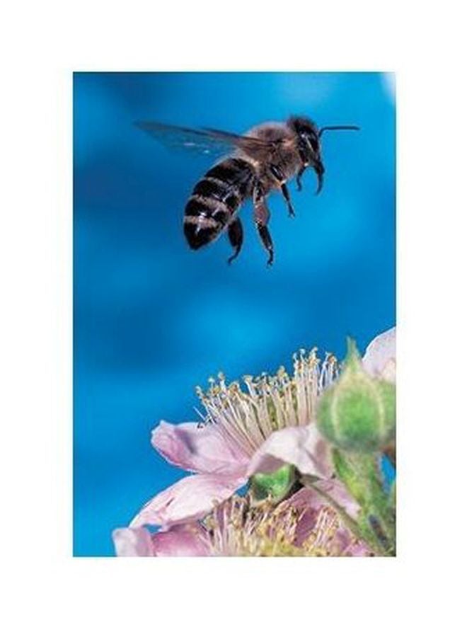 بوستر حائط للتزيين متعدد الألوان 34x24سم