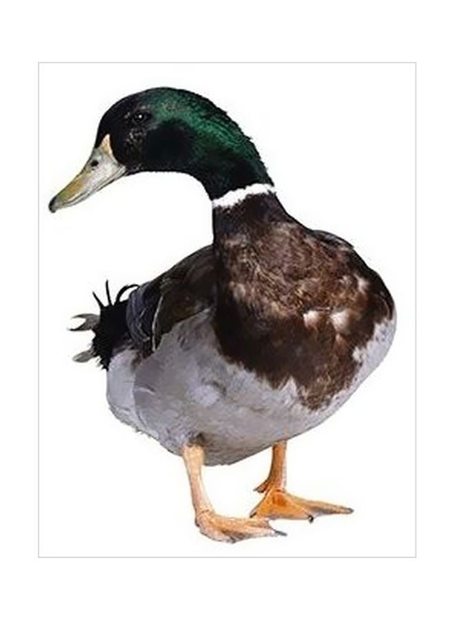 فوتو بلوك بوستر حائط للتزيين متعدد الألوان 34x24سم