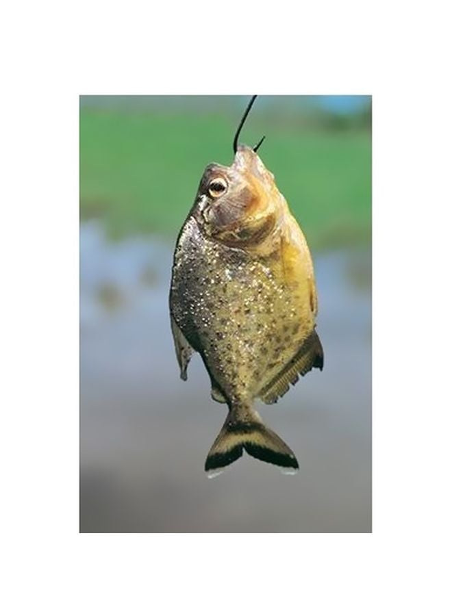 بوستر حائط للتزيين متعدد الألوان 34×24سم