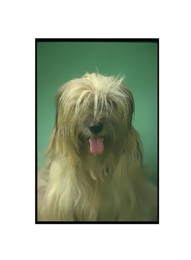 PHOTOBLOCK Decorative Wall Poster Multicolour 34×24cm