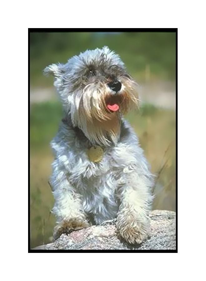 Decorative Wall Poster White/Green/Grey 34×24cm