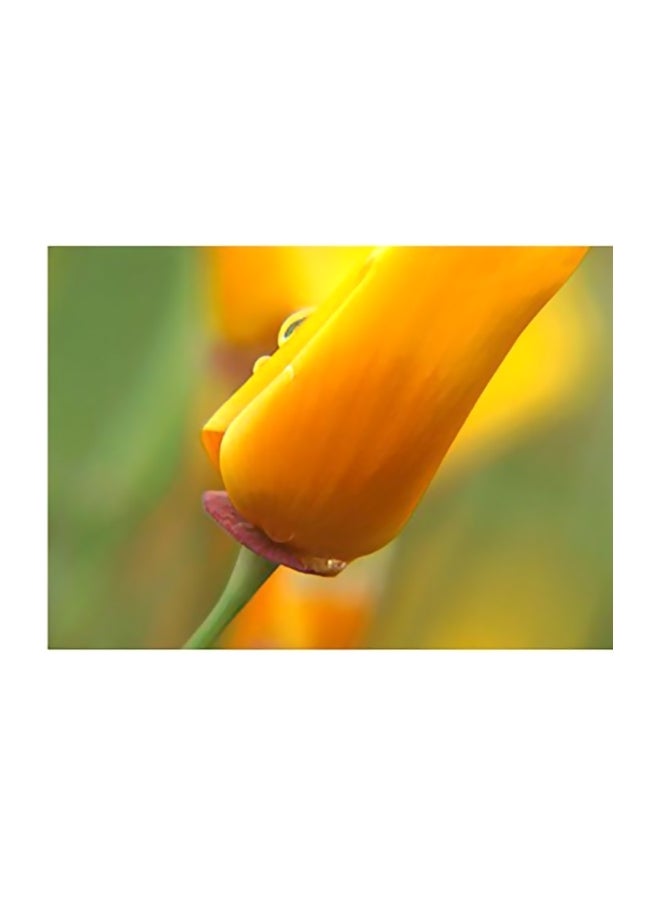 Decorative Wall Poster Yellow/Green 40x60cm