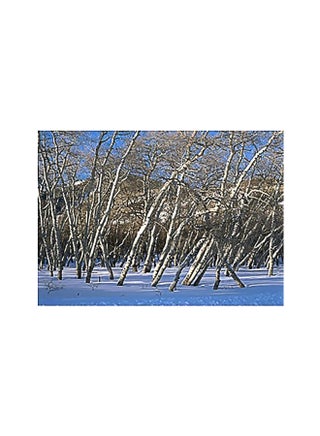 Decorative Wall Poster Multicolour 24x34cm - v1565796356/N29085687A_1