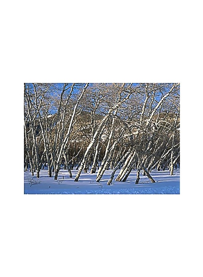 Decorative Wall Poster Multicolour 24x34cm