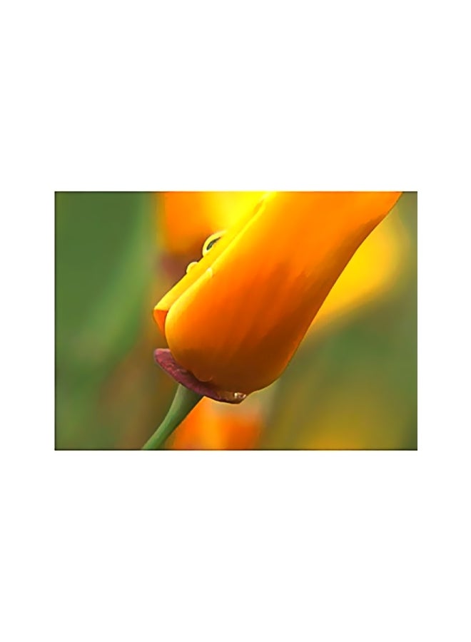 بوستر حائط للتزيين متعدد الألوان 24x34سم