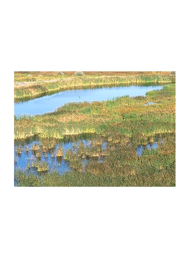 فوتو بلوك بوستر حائط للتزيين أخضر/أزرق 18x24سم