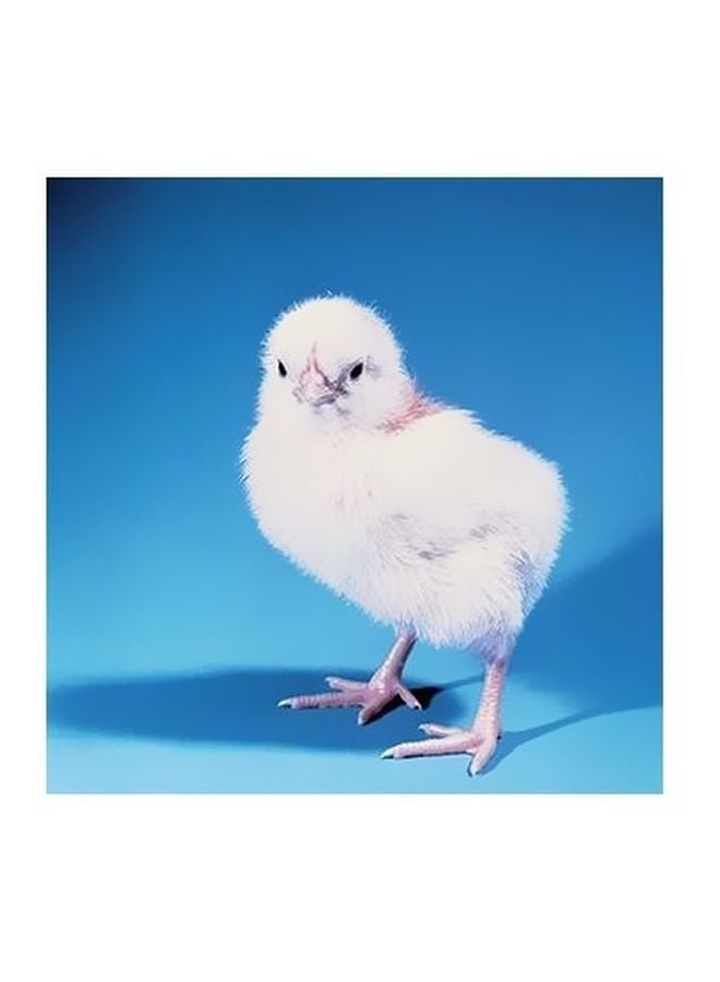 Decorative Wall Poster White/Blue 15x15cm