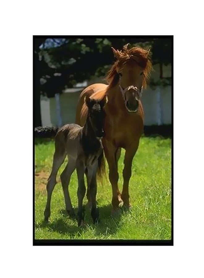 Decorative Wall Poster Brown/Green/Black 34x24cm