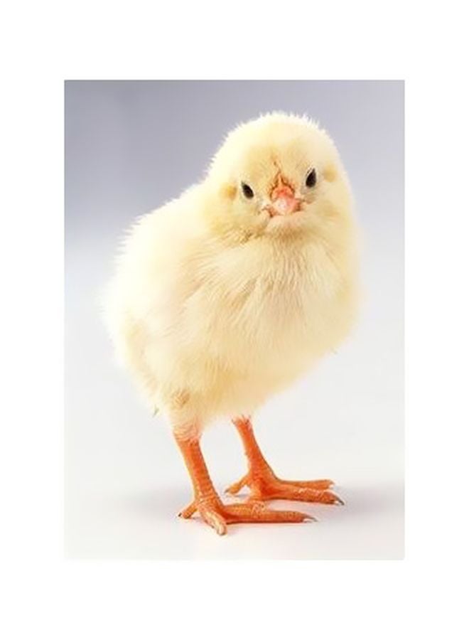 بوستر حائط للتزيين بيج / برتقالي 24×18سم