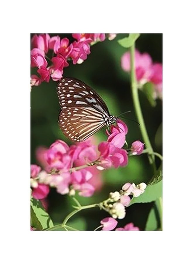 Decorative Printed Wall Poster Pink/Brown/Green 24X18cm