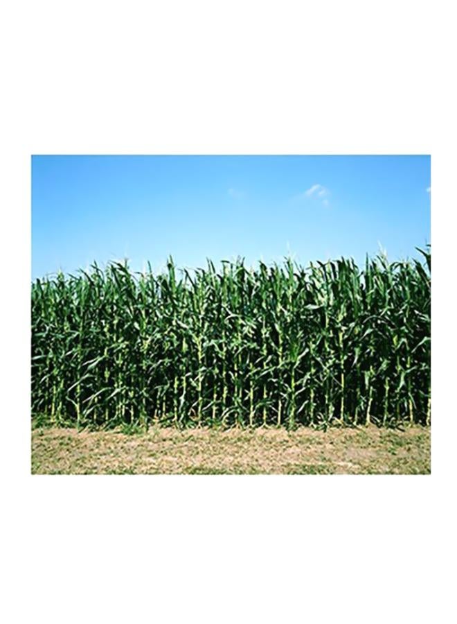 Photo Block Decorative Wall Poster Green/Blue/Beige 31x45cm