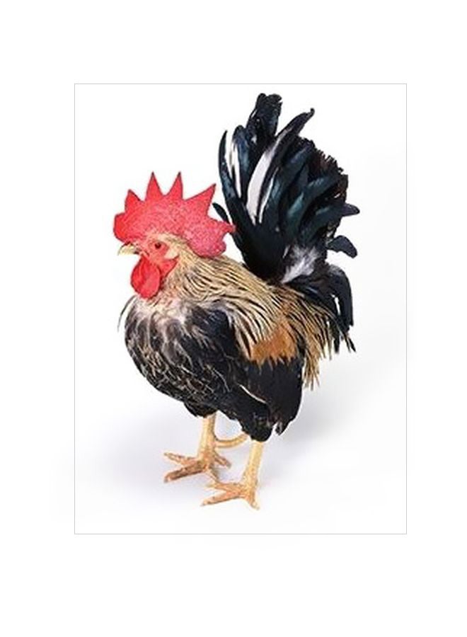 PHOTOBLOCK Decorative Wall Poster Black/Beige/Red 24x18cm