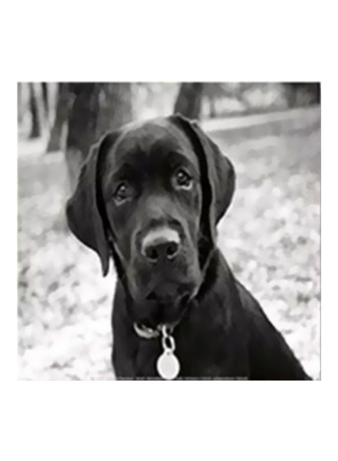 Decorative Wall Painting With Frame Black/White 34x34cm