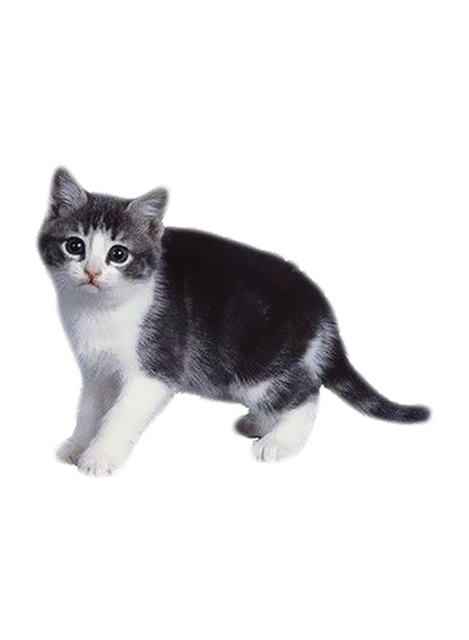 فوتو بلوك بوستر حائط للتزيين أسود/ أبيض 24x18سم