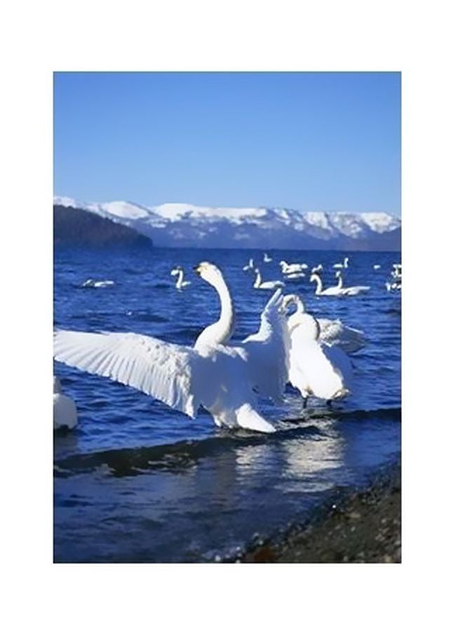 فوتو بلوك بوستر حائط للتزيين متعدد الألوان 34x24سم