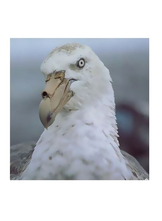 بوستر حائط للتزيين أبيض/أزرق 15x15سم