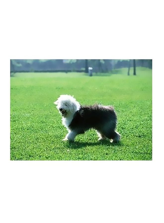 بوستر حائط للتزيين أسود/فضي/بني 18x24سم