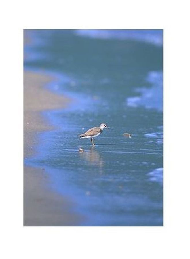 PHOTOBLOCK Decorative Wall Poster Blue/Grey 34×24cm