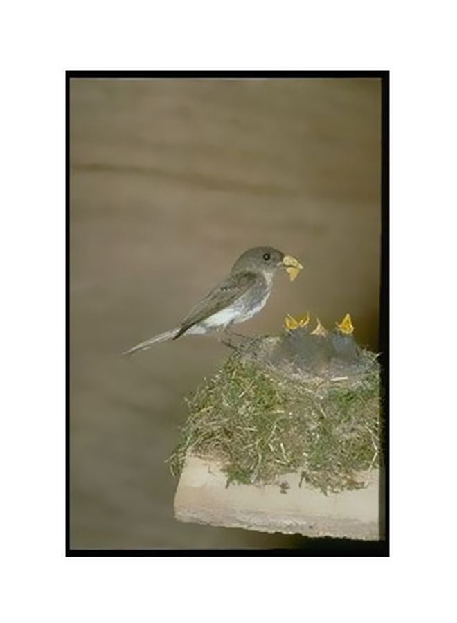 Decorative Wall Poster Grey/Green/White 34×24cm