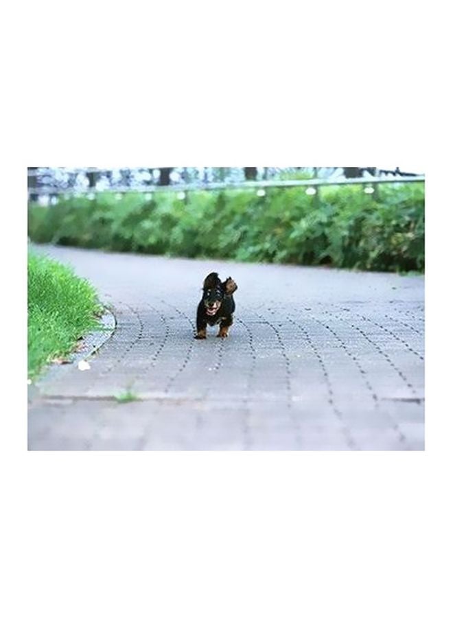 Decorative Wall Poster Green/Grey/Black 24X18cm