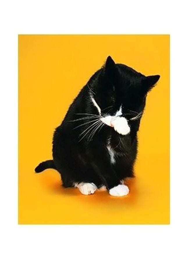 Decorative Wall Poster Yellow/Black/White 60x40cm