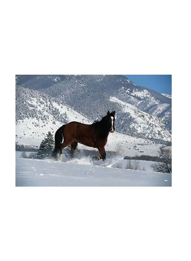 بوستر حائط للتزيين متعدد الألوان 24x18سم