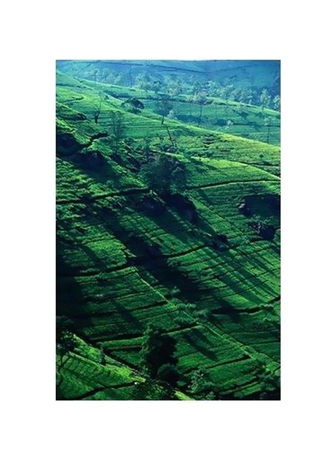 Decorative Wall Poster Green/Blue 60x40cm